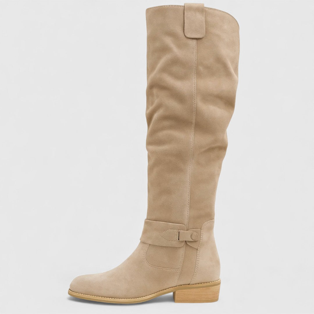 Botas elegantes de ante